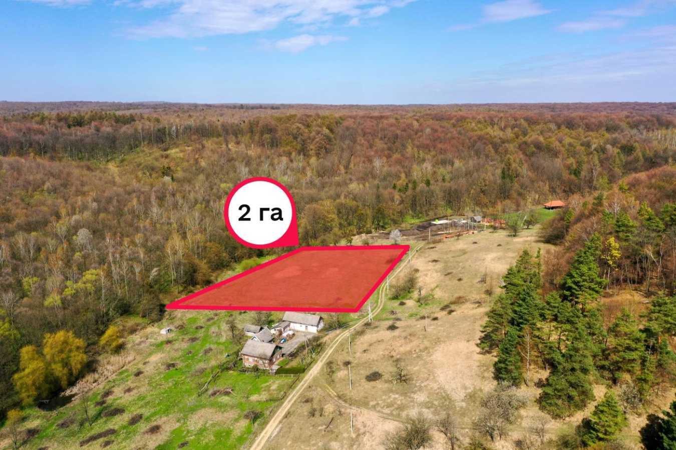 Продажа участка для личного сельского хозяйства 201.53 соток, Бучаче