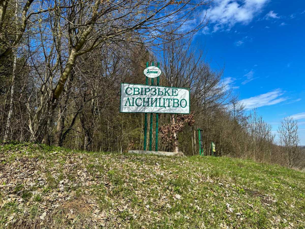 Продажа участка для личного сельского хозяйства 201.53 соток, Бучаче