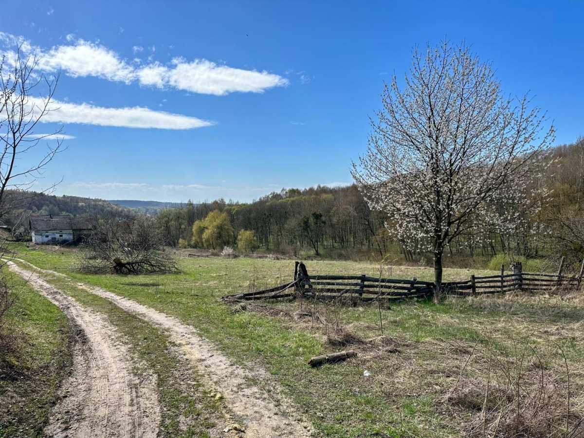 Продажа участка для личного сельского хозяйства 201.53 соток, Бучаче