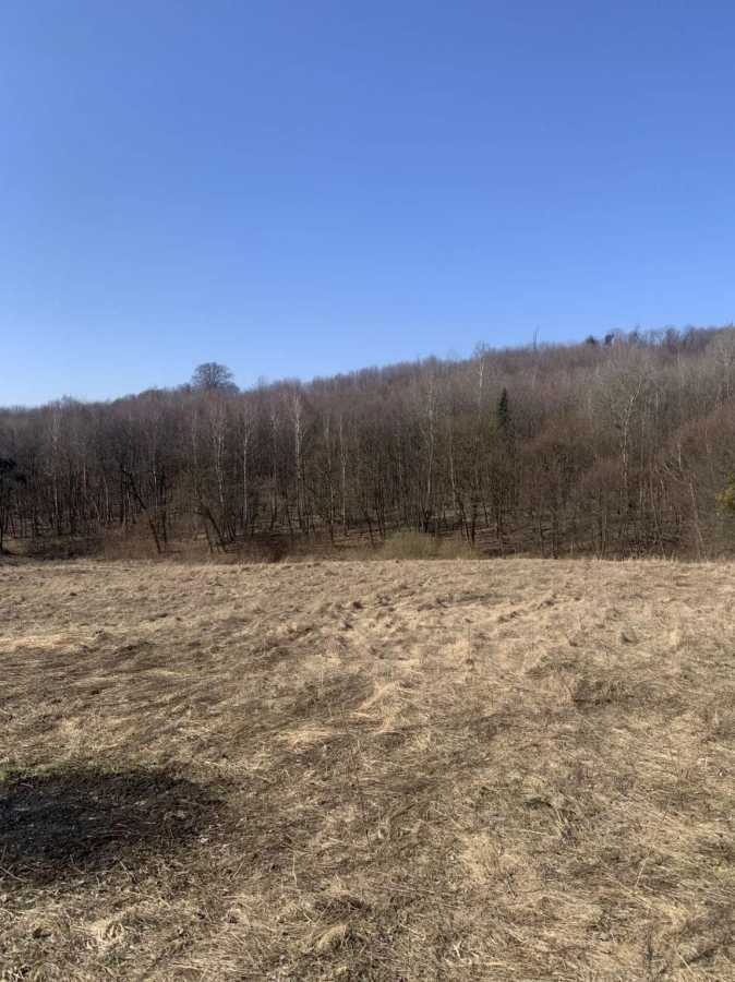 Продажа участка для личного сельского хозяйства 201.53 соток, Бучаче