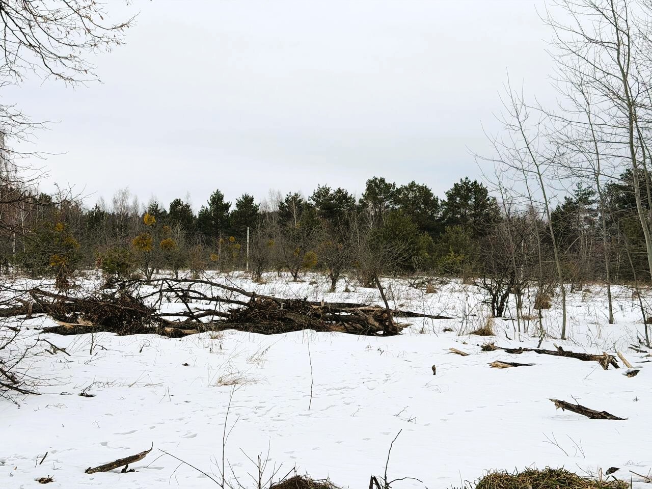 Продаж ділянки під індивідуальне житлове будівництво 5 соток