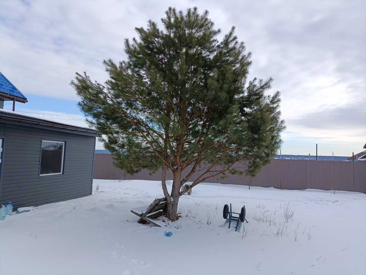 Продажа дома 89 м², Святобор