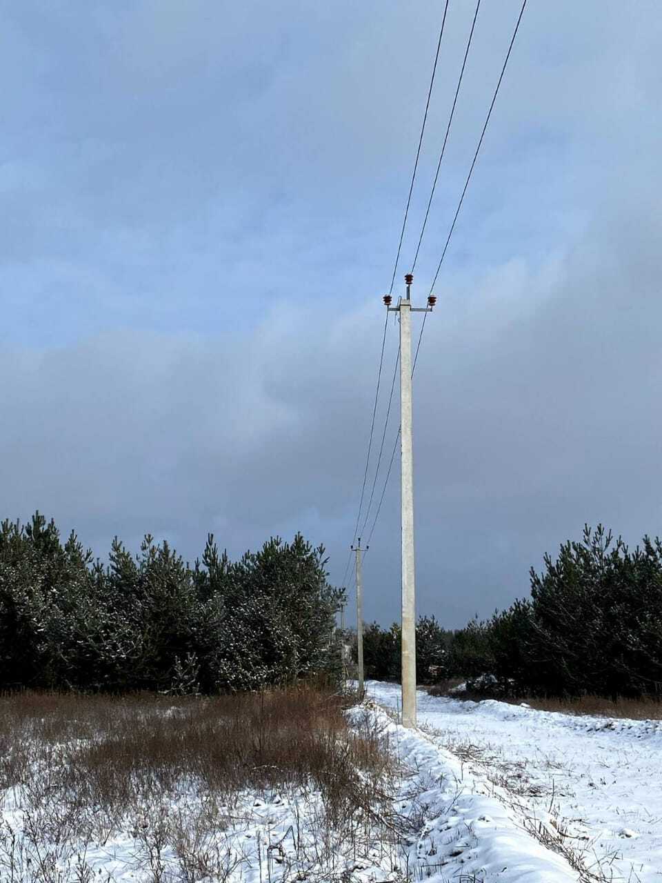 Продаж ділянки під рослинництво 110 соток