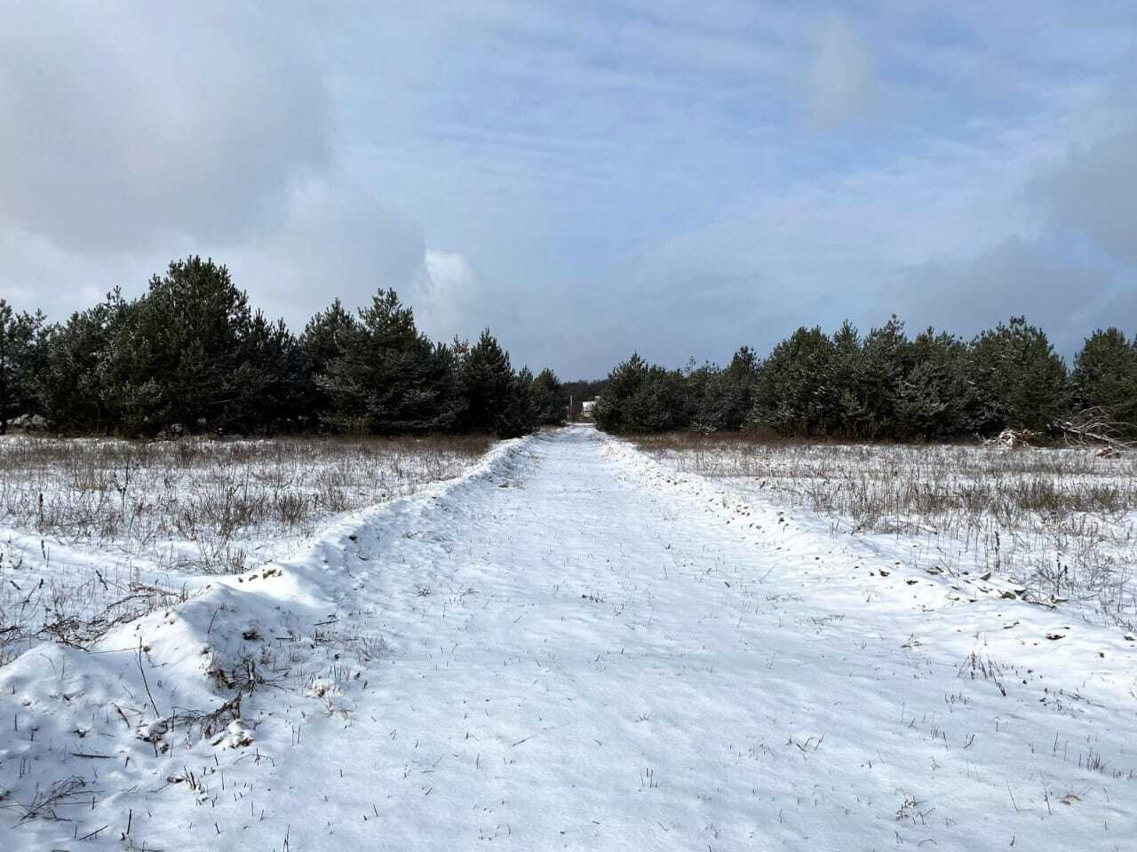 Продаж ділянки під рослинництво 110 соток