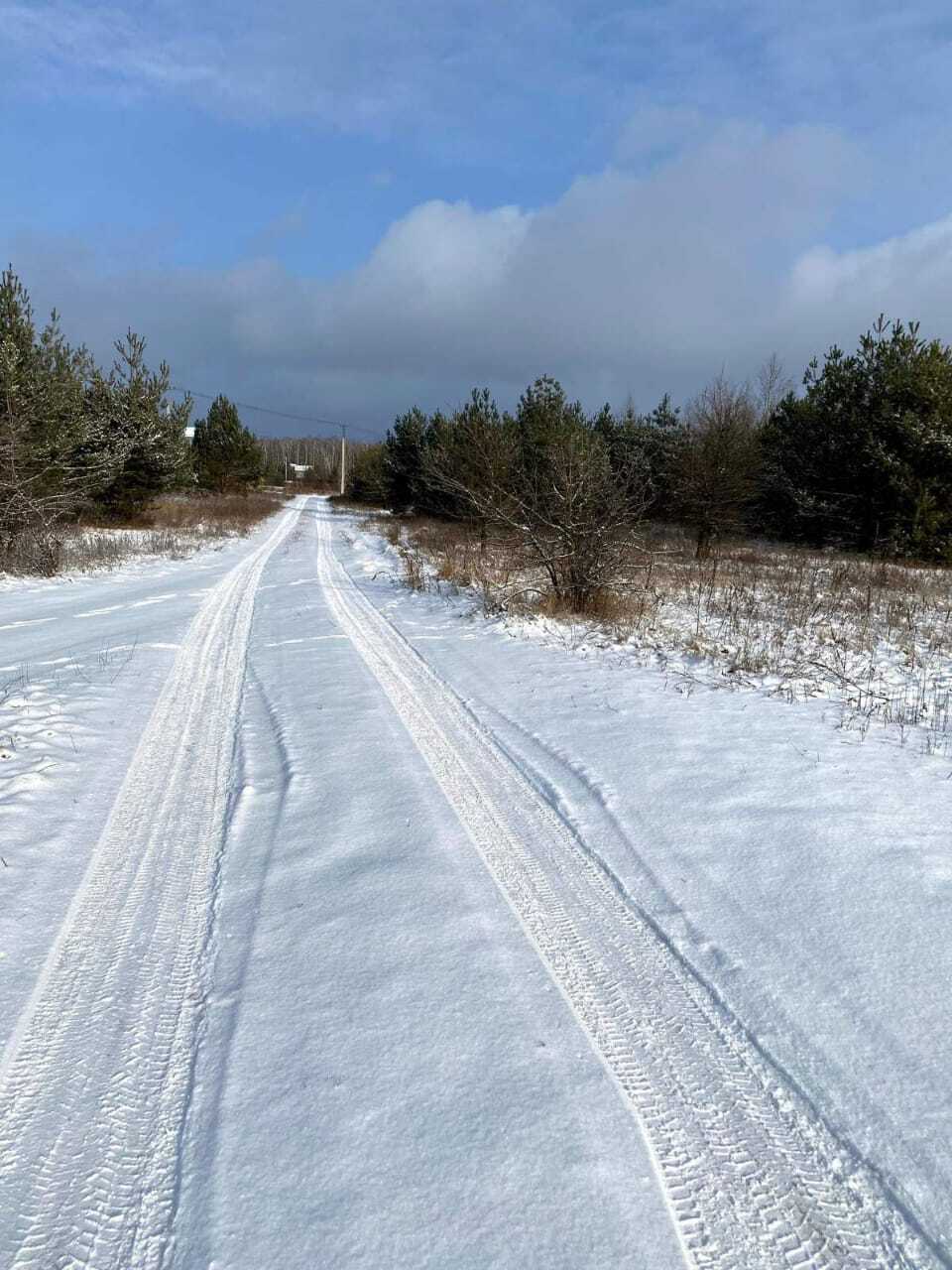 Продаж ділянки під рослинництво 110 соток