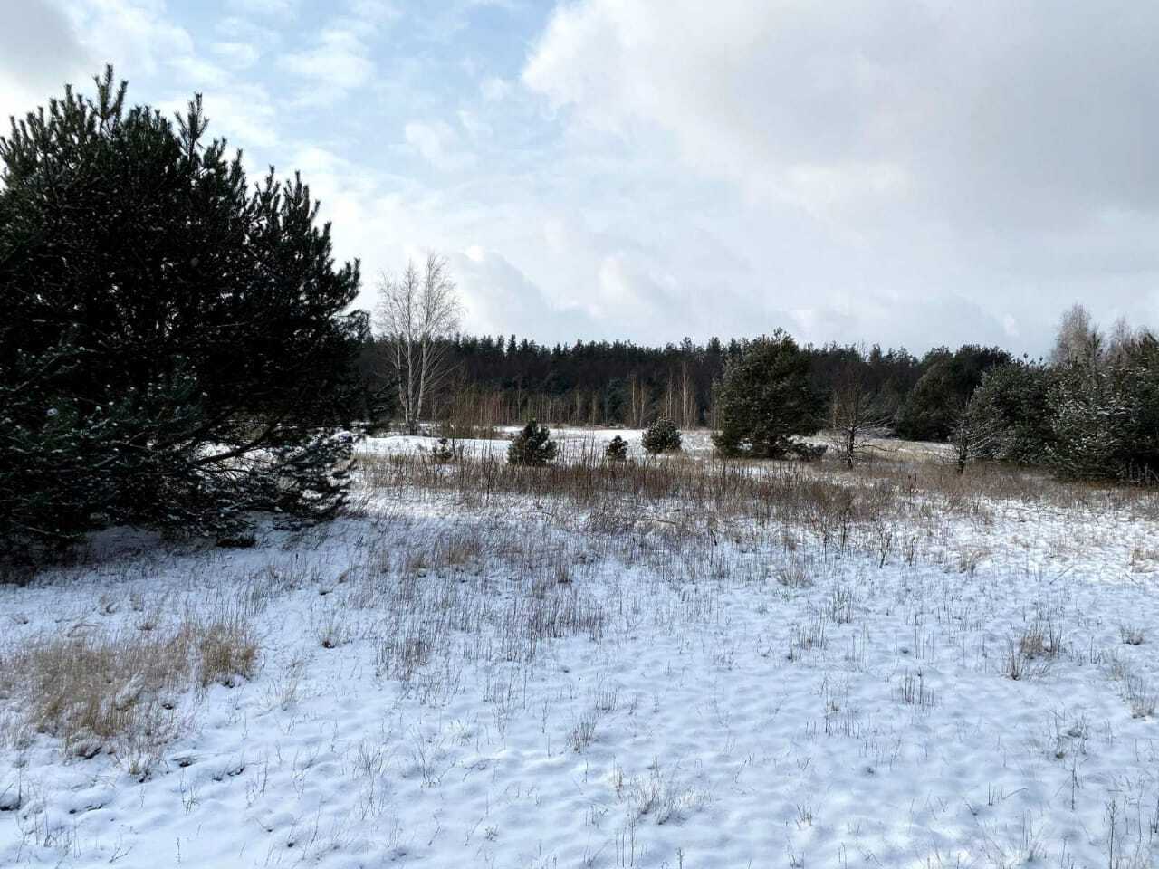 Продаж ділянки під рослинництво 110 соток