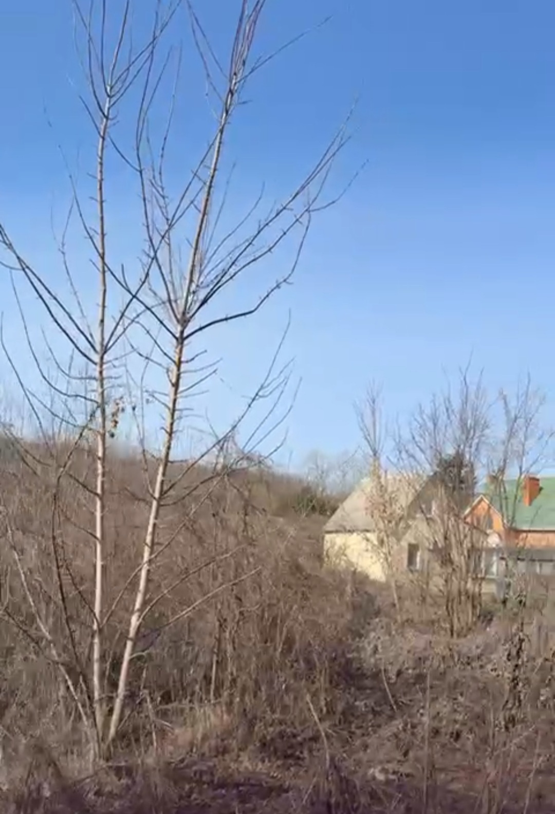 Продажа участка под индивидуальное жилое строительство 25 соток, Центральная, 24