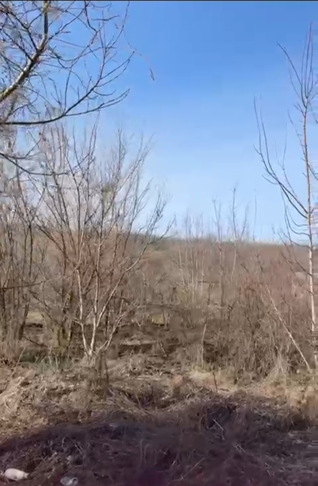 Продажа участка под индивидуальное жилое строительство 25 соток, Центральная, 24