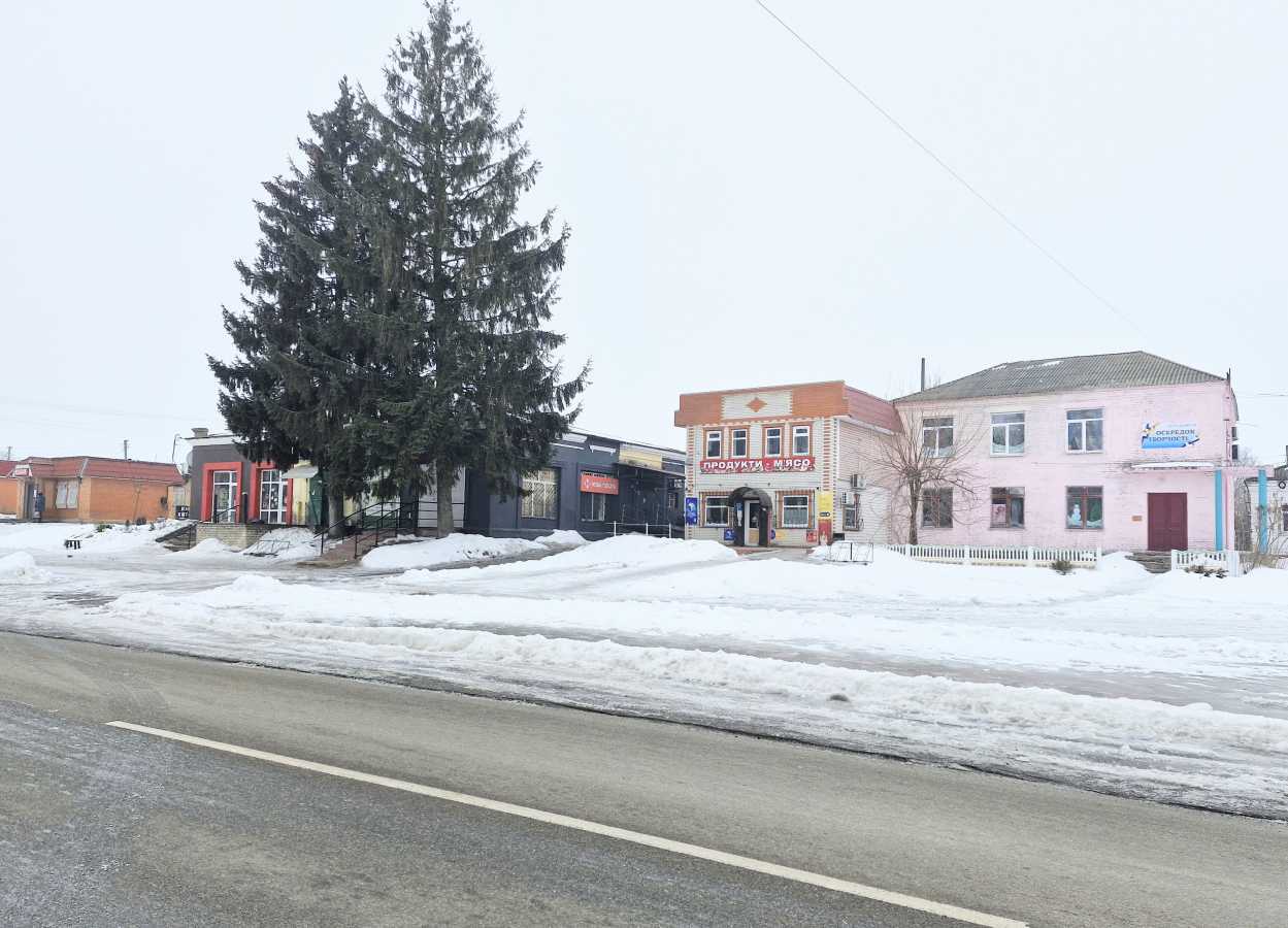 Продажа дома 46.3 м², Червоные Партизаны, улица Євгенія Закалюжного, 4