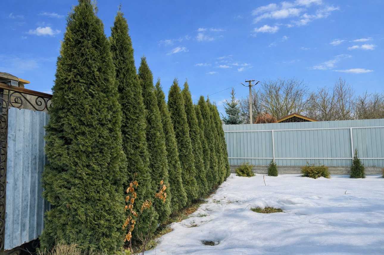 Продажа дома 164.5 м²