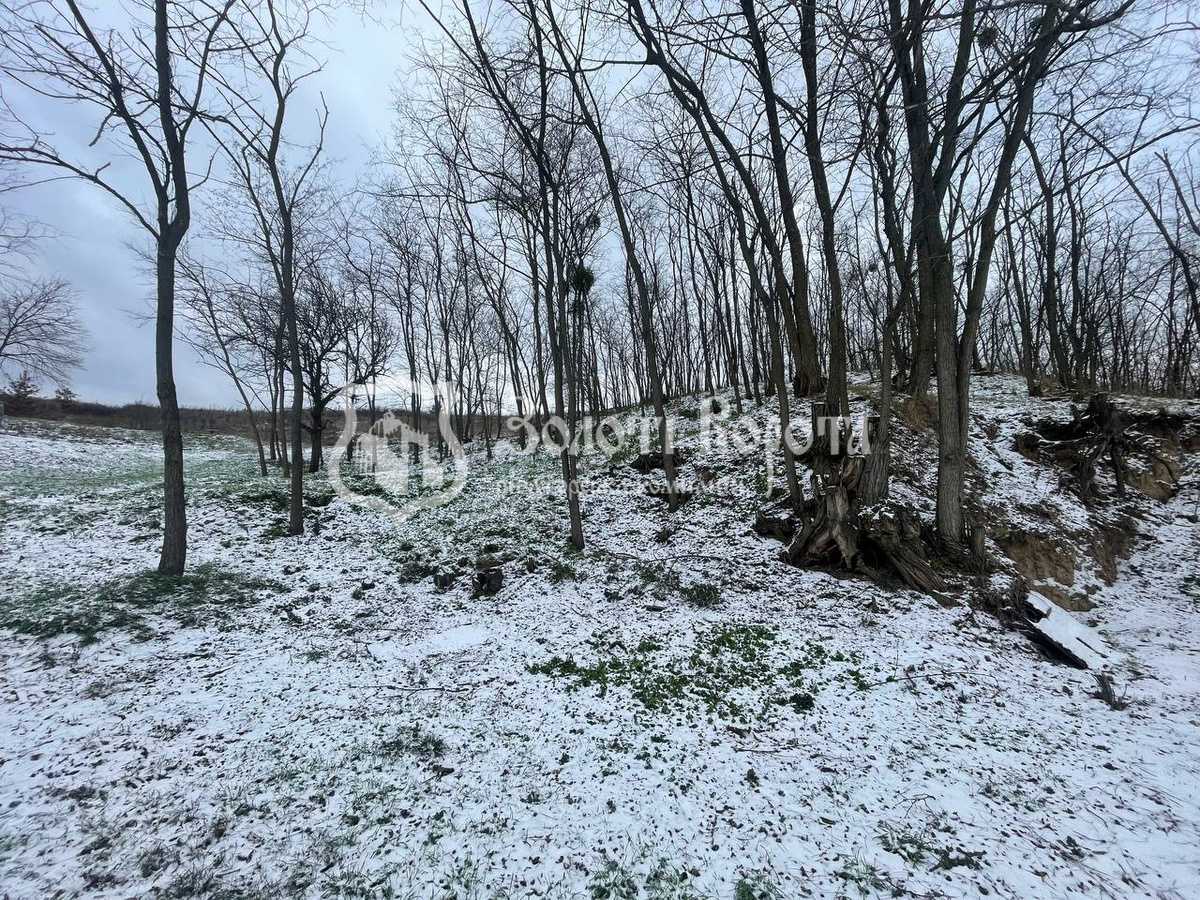 Продаж ділянки під індивідуальне житлове будівництво 80 соток, Глинищанська