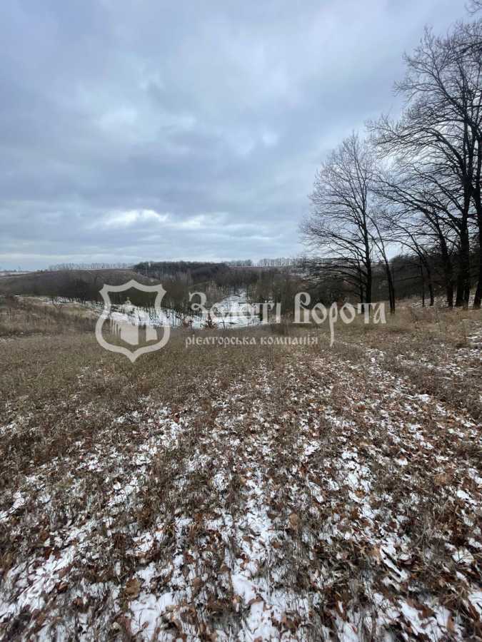 Продаж ділянки під індивідуальне житлове будівництво 80 соток, Глинищанська