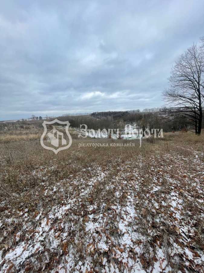 Продаж ділянки під індивідуальне житлове будівництво 80 соток, Глинищанська