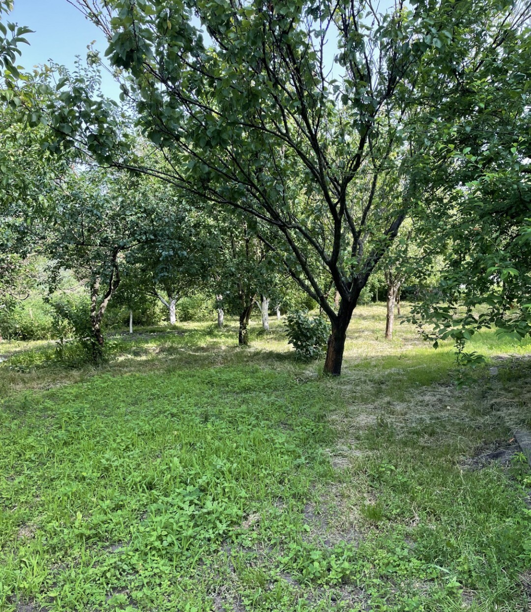 Аренда дома 57 м², Евгения Харченко ул.