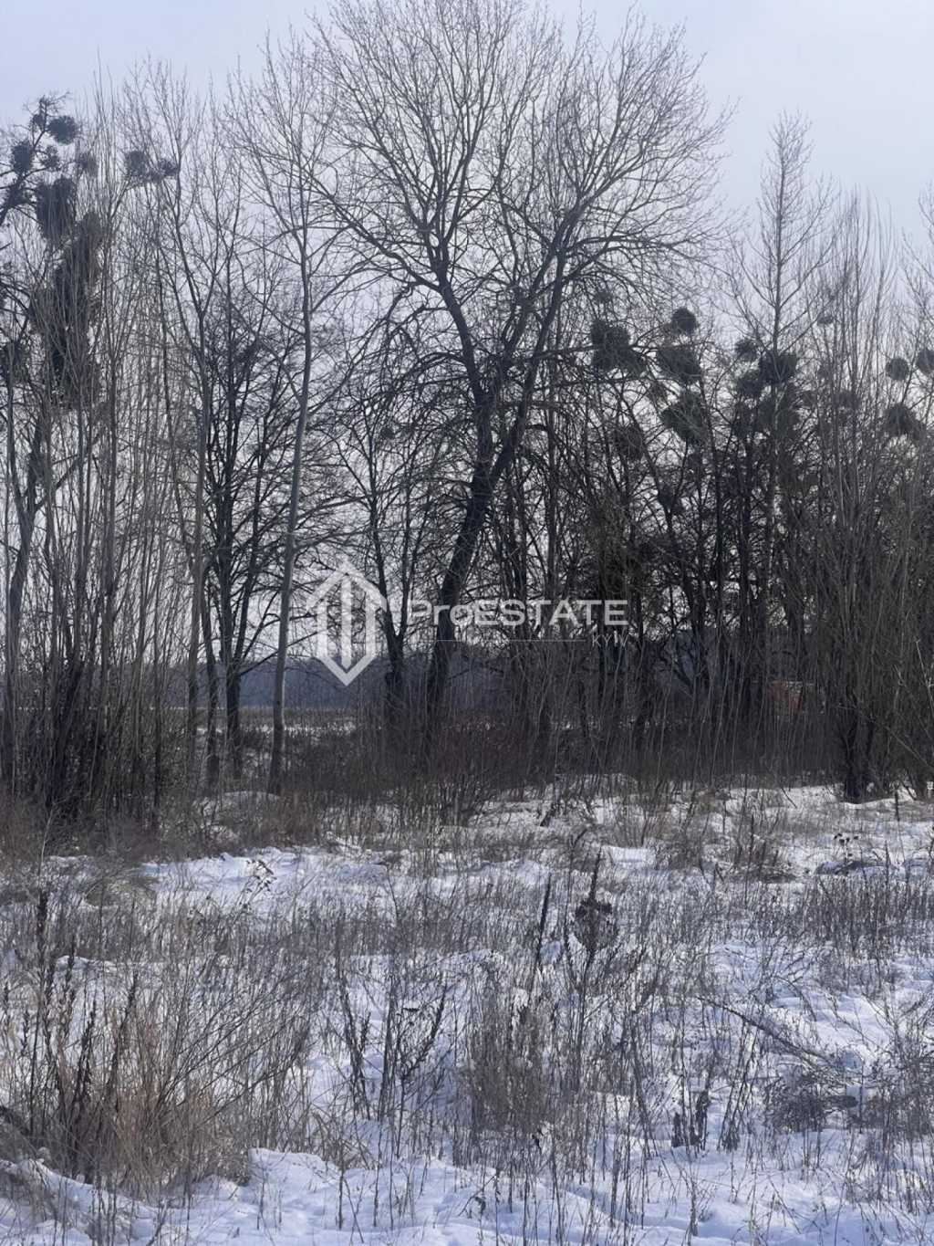 Продаж ділянки для особистого сільського господарства 200 соток, Паркова