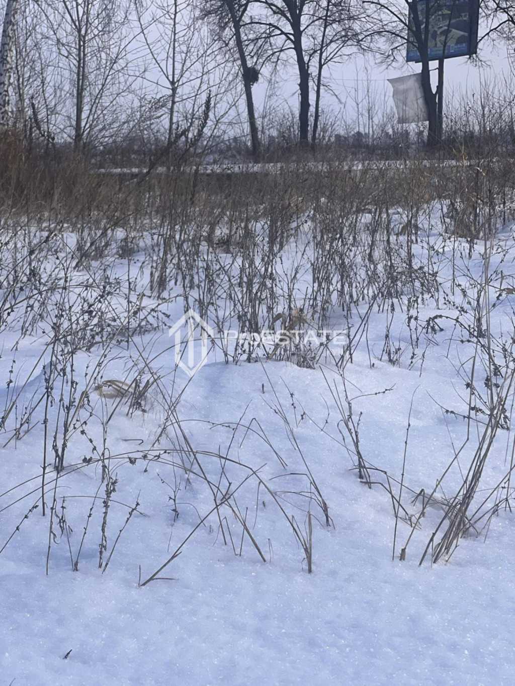 Продаж ділянки для особистого сільського господарства 200 соток, Паркова