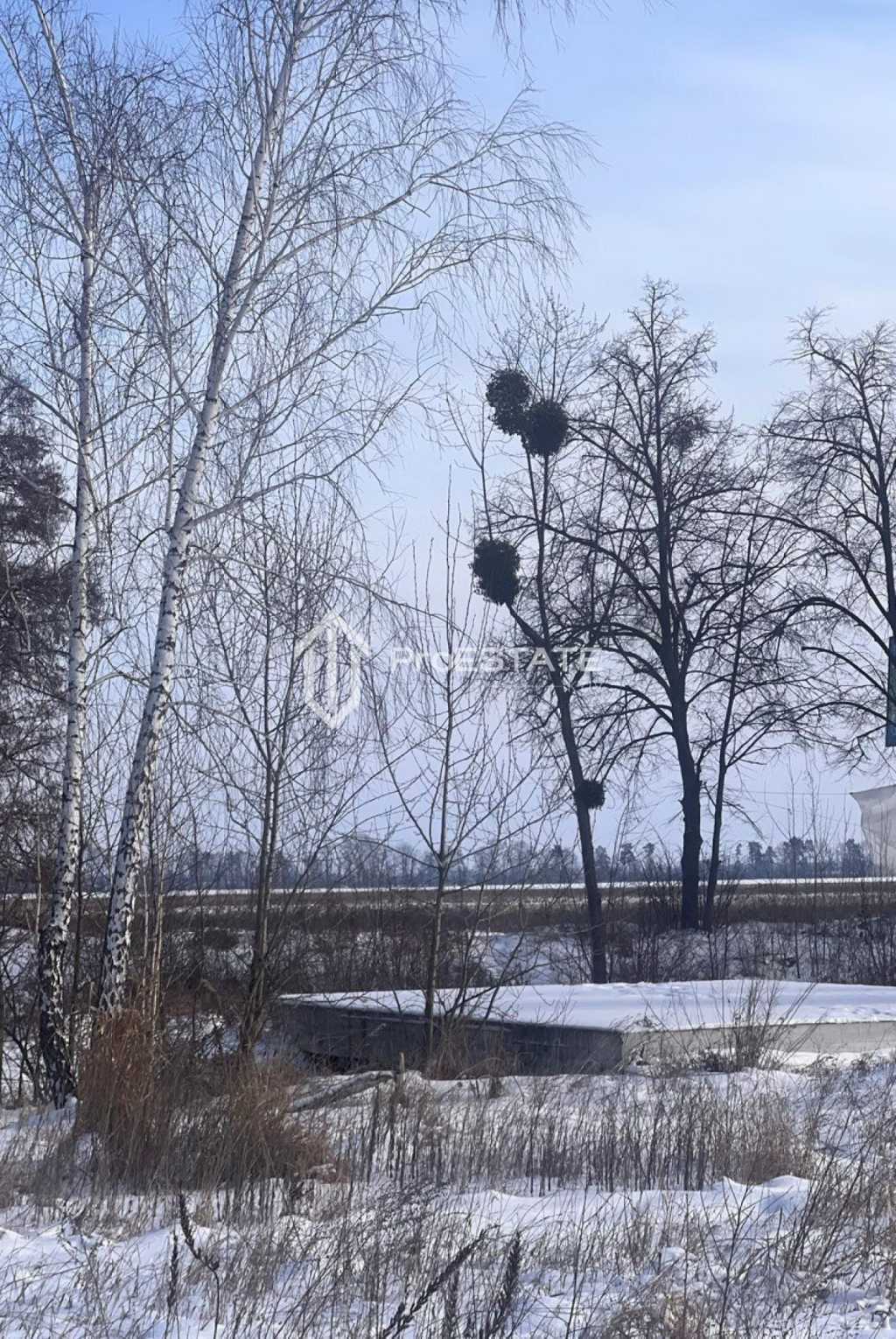 Продаж ділянки для особистого сільського господарства 200 соток, Паркова