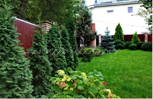 Аренда дома 250 м², Голосеевская ул.