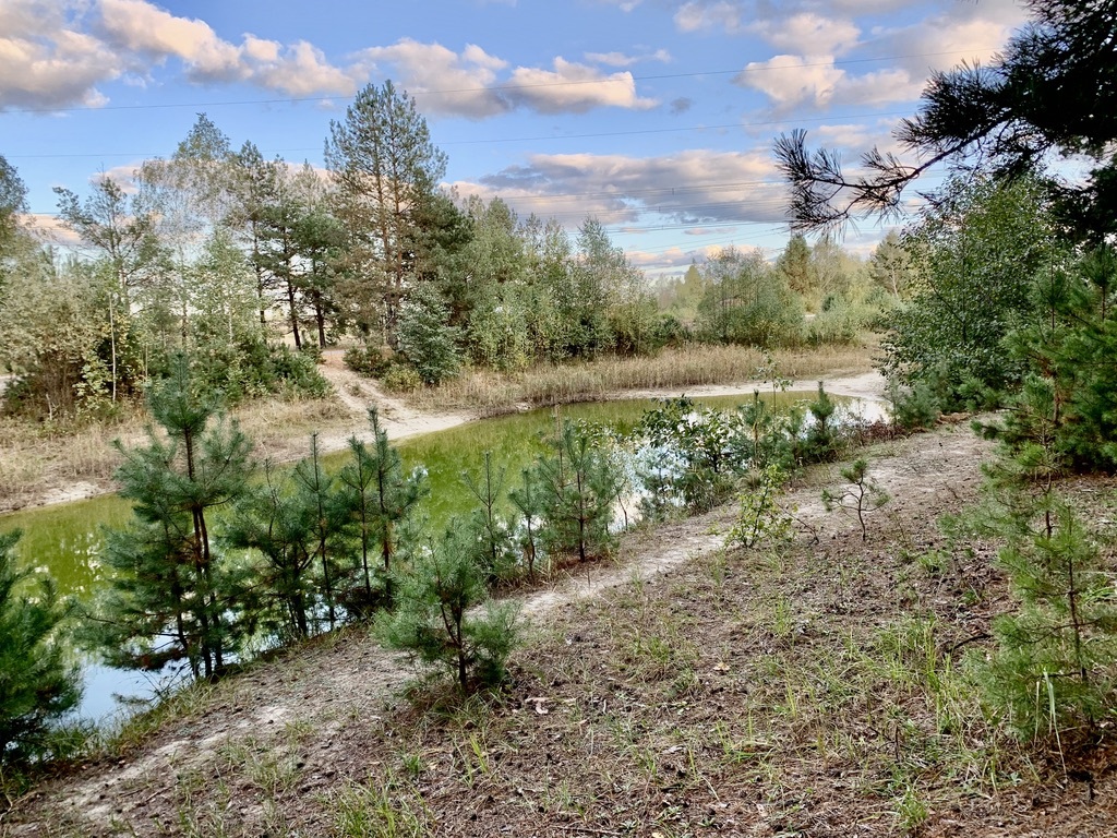 Продаж дачної ділянки 6 соток