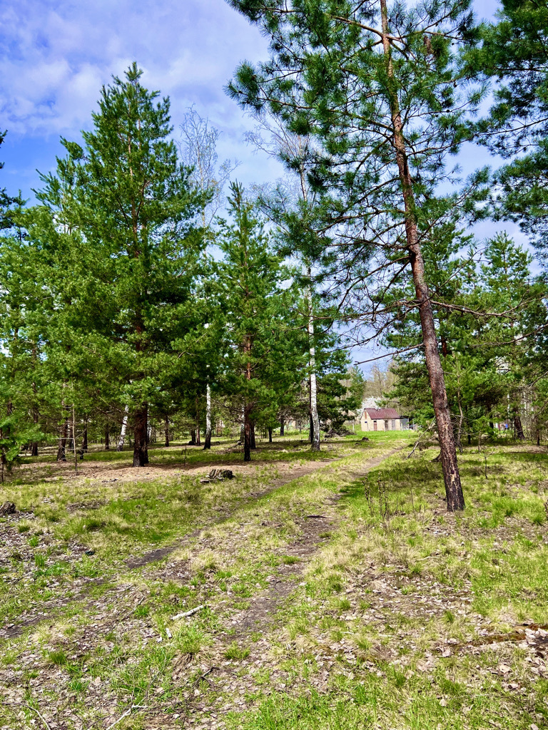 Ваша власна "лісова казка" затишна дача серед природи