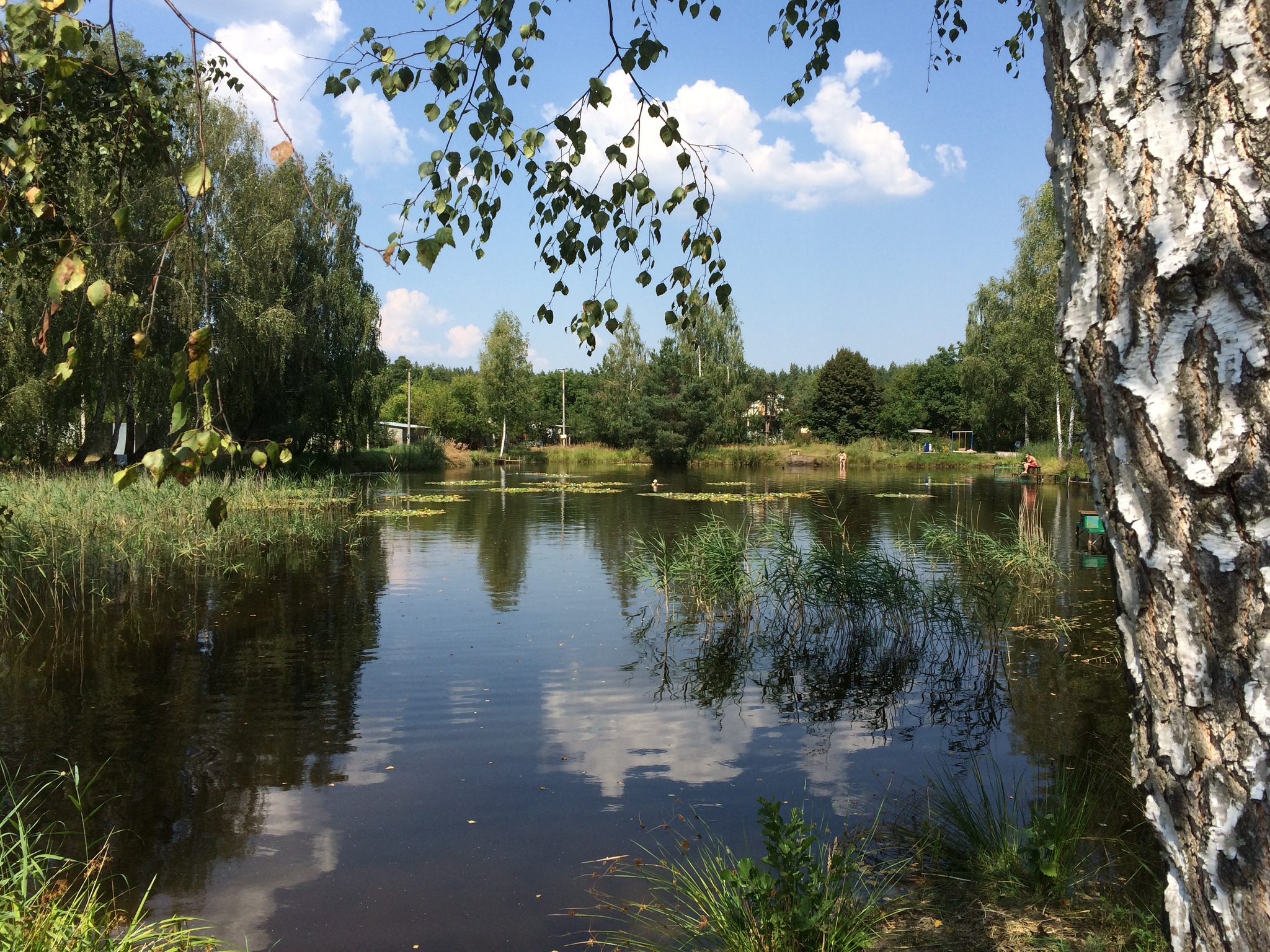 Ваша власна "лісова казка" затишна дача серед природи