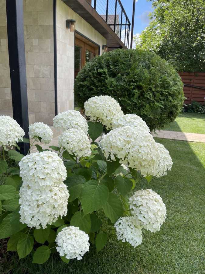 Коттедж посуточно 160 м², Лісова Поляна, 8