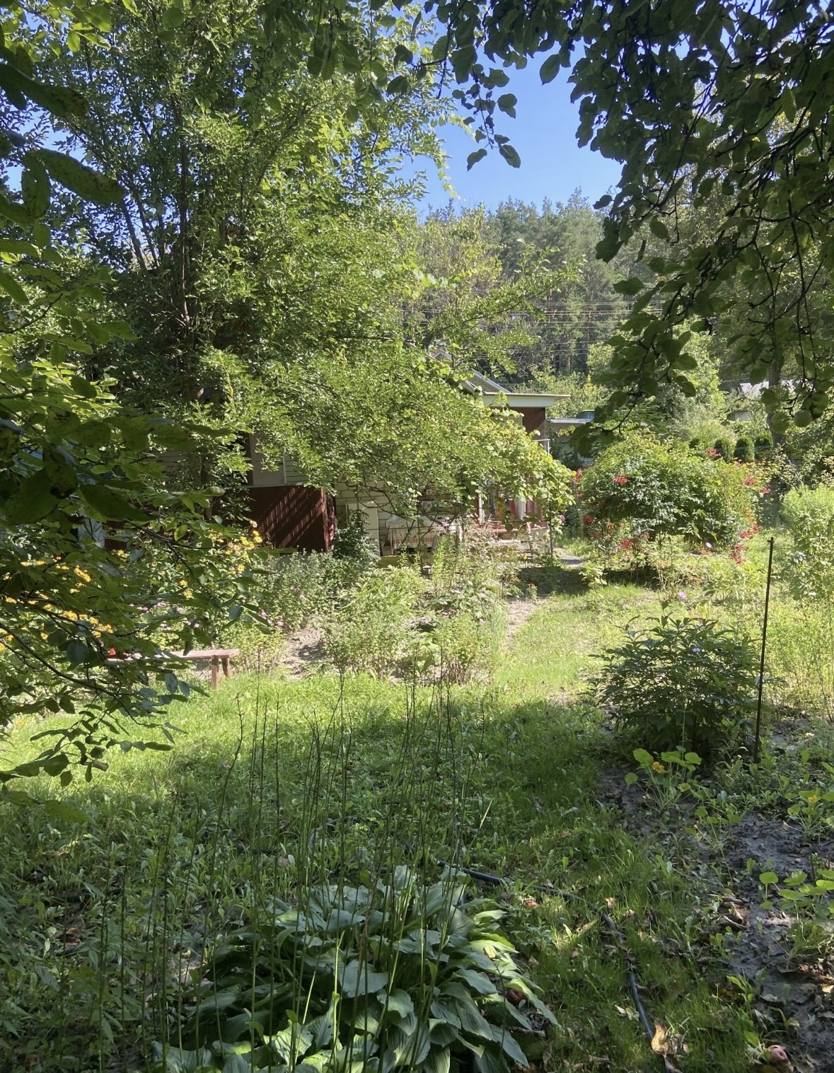 Продажа дачи 60 м², Гатненский просп.