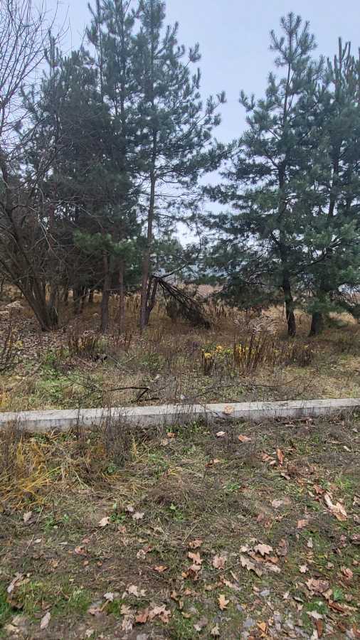 Продаж ділянки під індивідуальне житлове будівництво 40.5 соток, Гоголя вул.