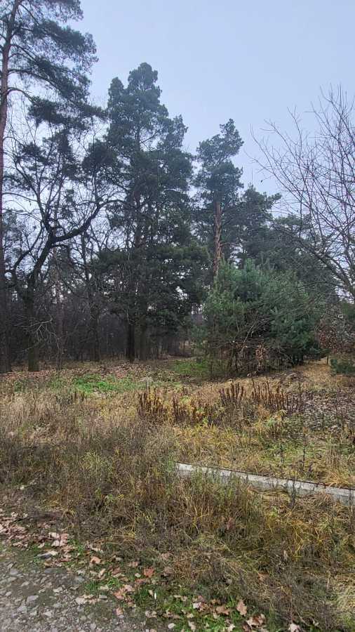 Продаж ділянки під індивідуальне житлове будівництво 40.5 соток, Гоголя вул.