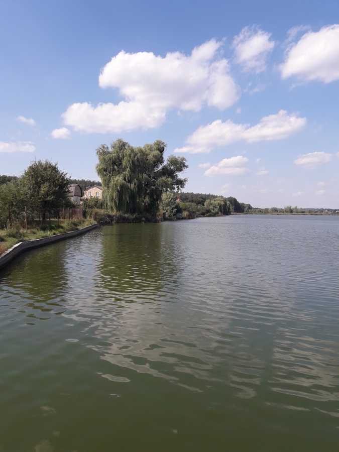 Продаж ділянки під індивідуальне житлове будівництво 85 соток, Шевченко вул.