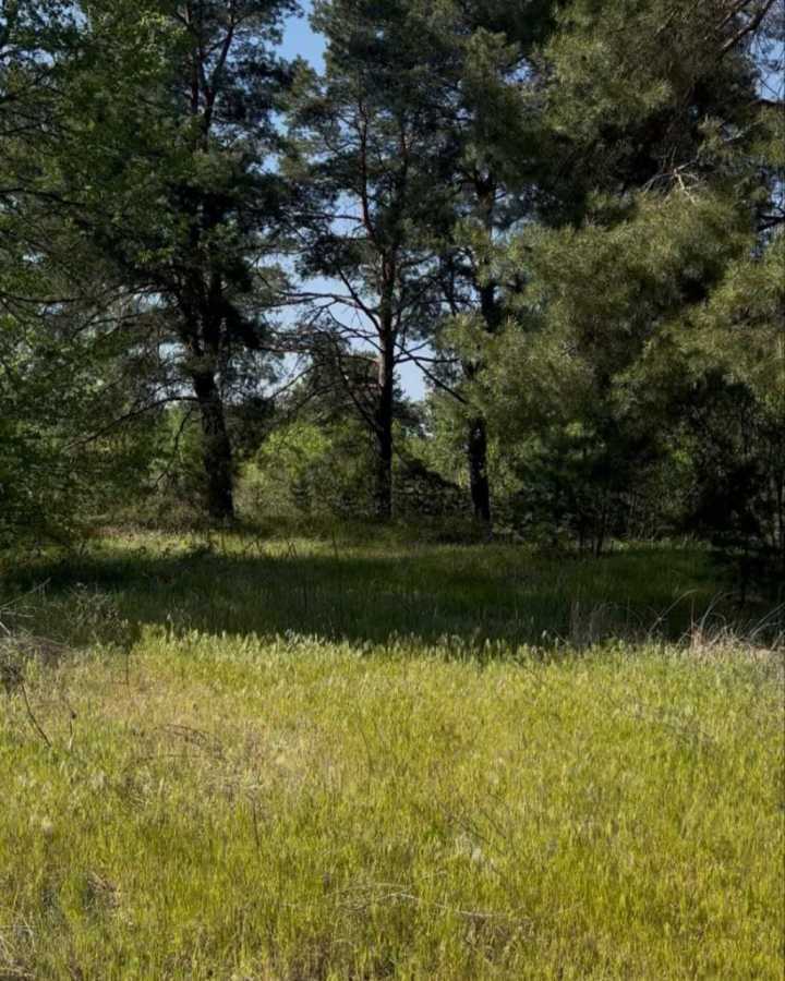 Продажа участка для отдыха (рекреации) 19.27 соток, ст Сонячне