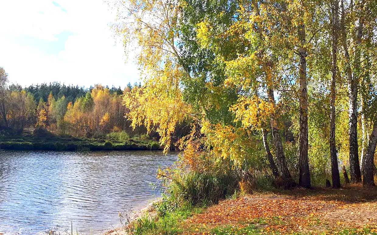 Продаж ділянки під індивідуальне житлове будівництво 6 соток, Миколаївська