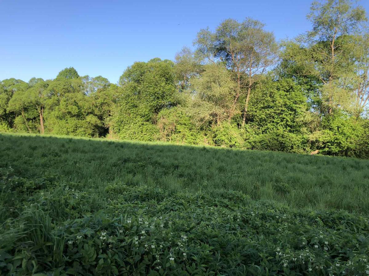 Продаж дачної ділянки 4 соток