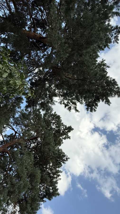 Продаж ділянки під індивідуальне житлове будівництво 20 соток, Андрея Малышко вул.