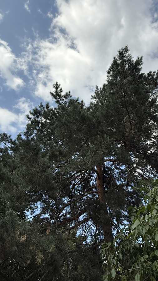 Продаж ділянки під індивідуальне житлове будівництво 20 соток, Андрея Малышко вул.