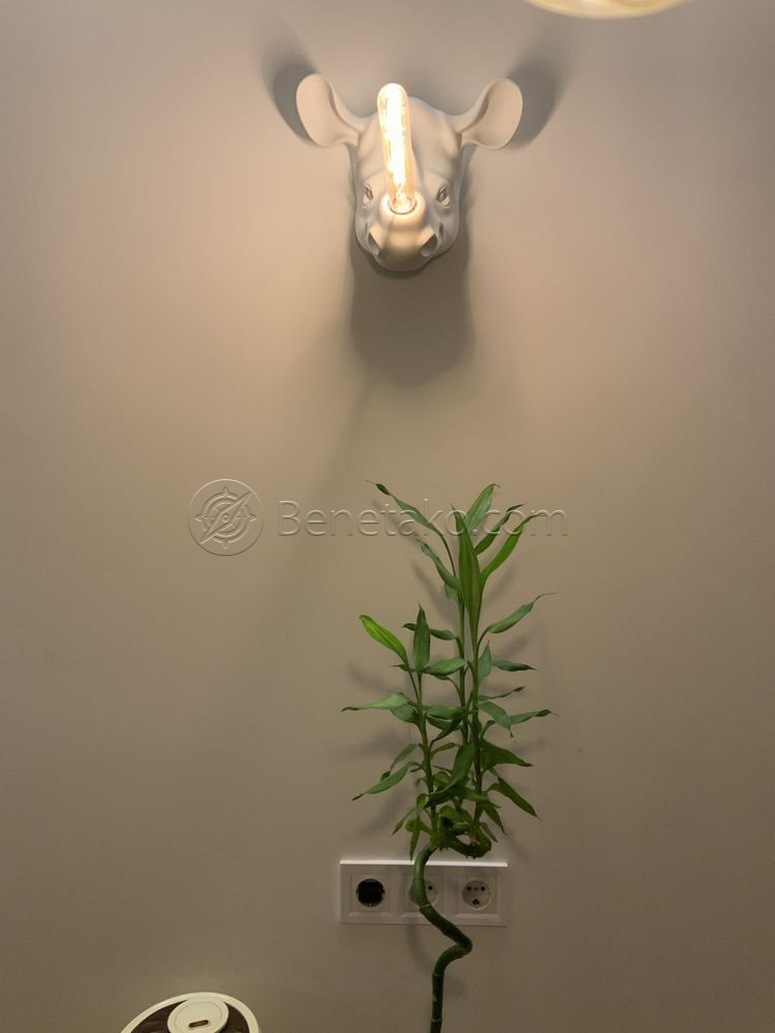 Оренда 2-кімнатної квартири 58 м², Французский бул., 2