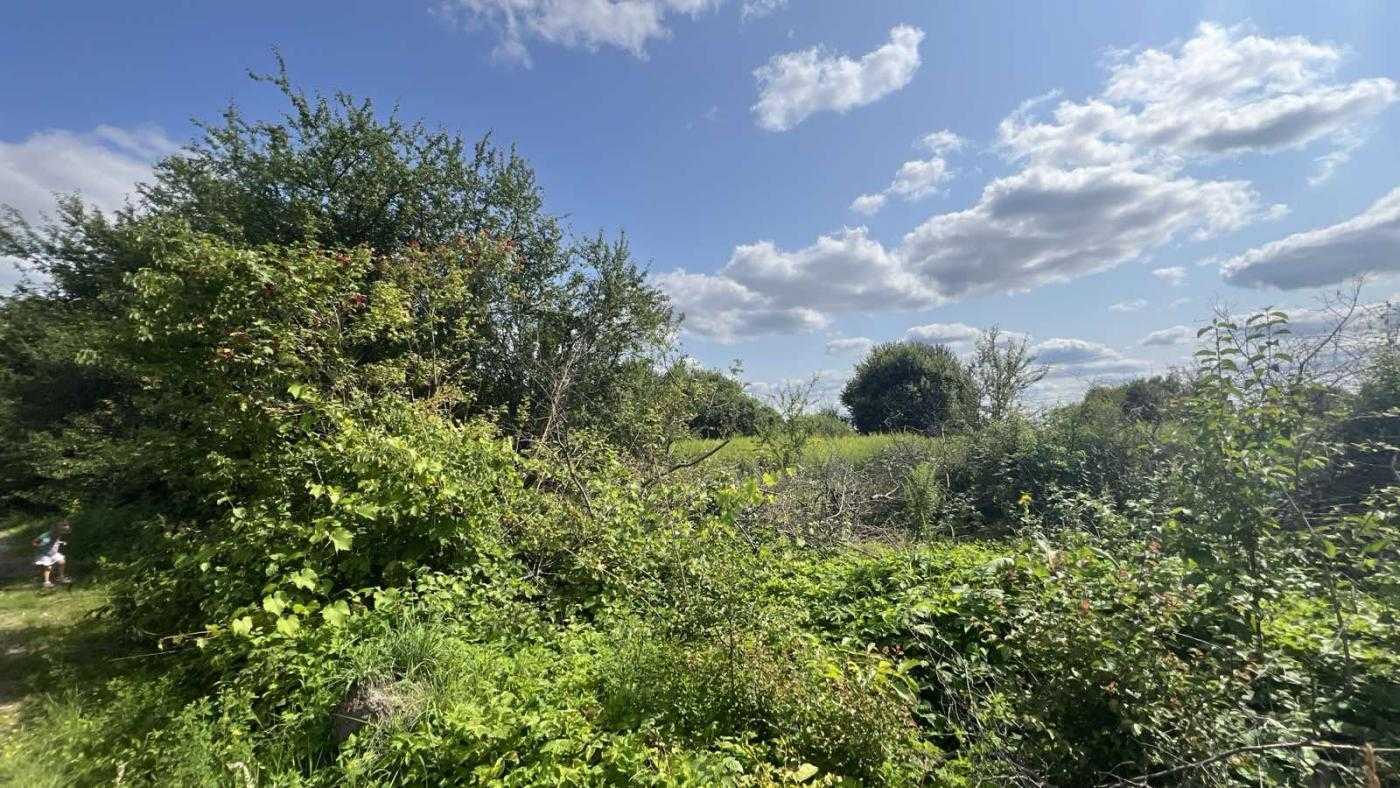 Продаж ділянки для особистого сільського господарства 8 соток, Кишова