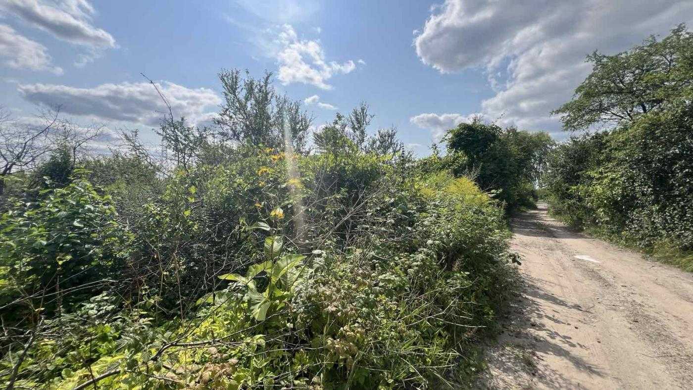 Продаж ділянки для особистого сільського господарства 8 соток, Кишова