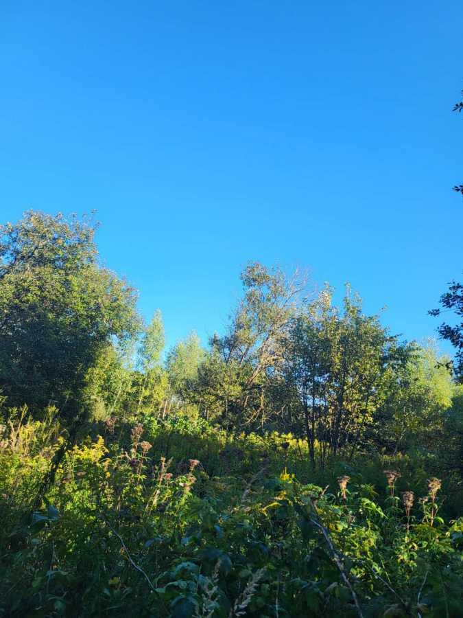 Продаж ділянки для особистого сільського господарства 8 соток, Кишова