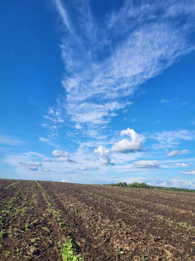 Продажа участка под индивидуальное жилое строительство 10 соток, Глуховичі