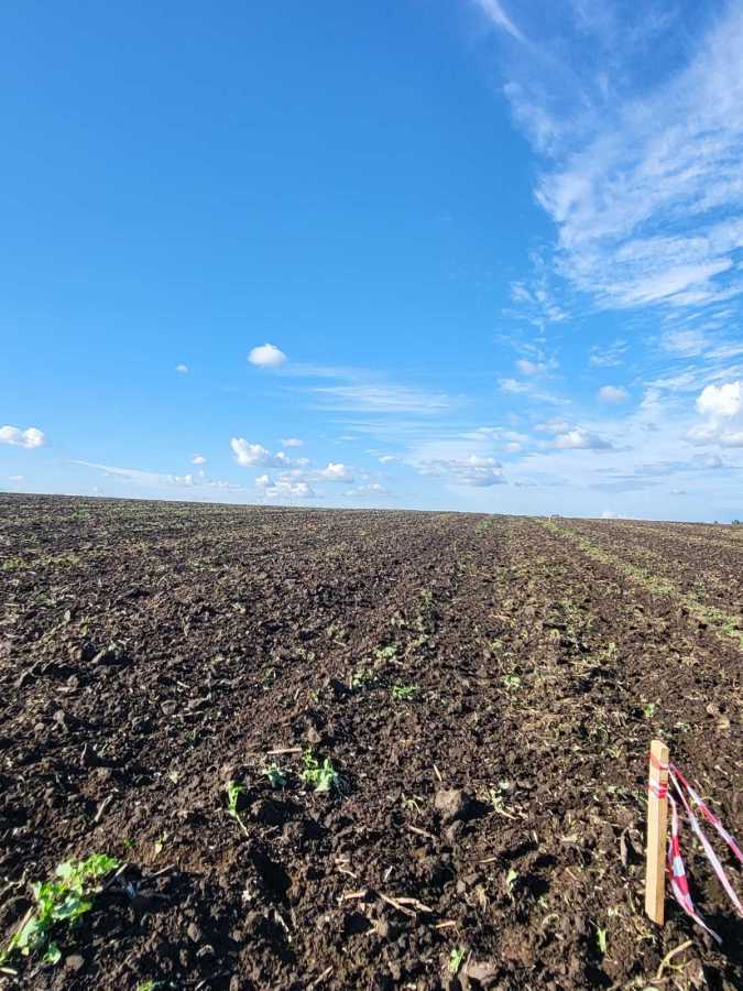 Продажа участка под индивидуальное жилое строительство 10 соток, Глуховичі