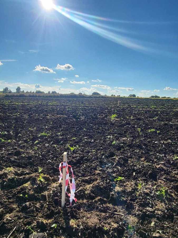 Продажа участка под индивидуальное жилое строительство 10 соток, Глуховичі