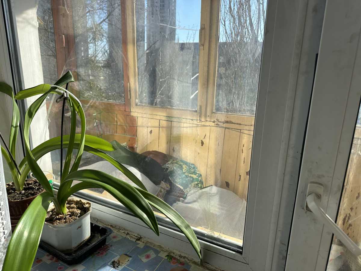 Аренда 1-комнатной квартиры 32 м², Отрадный просп., 24/93