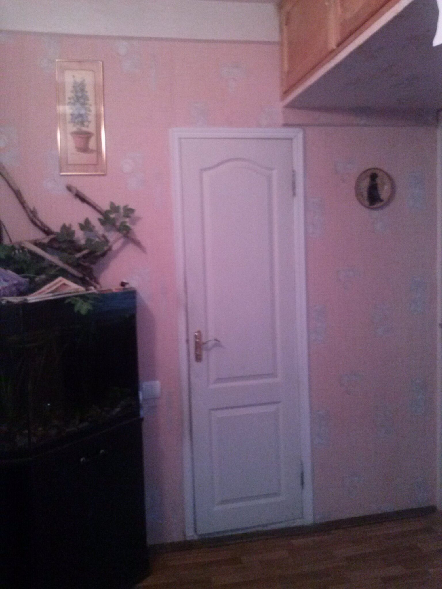 Аренда 2-комнатной квартиры 55 м², Шолуденко ул.