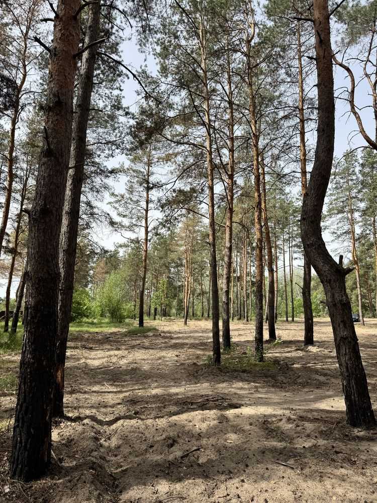 Продажа участка под индивидуальное жилое строительство 25 соток, Садовая ул.