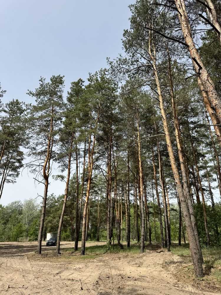 Продажа участка под индивидуальное жилое строительство 25 соток, Садовая ул.