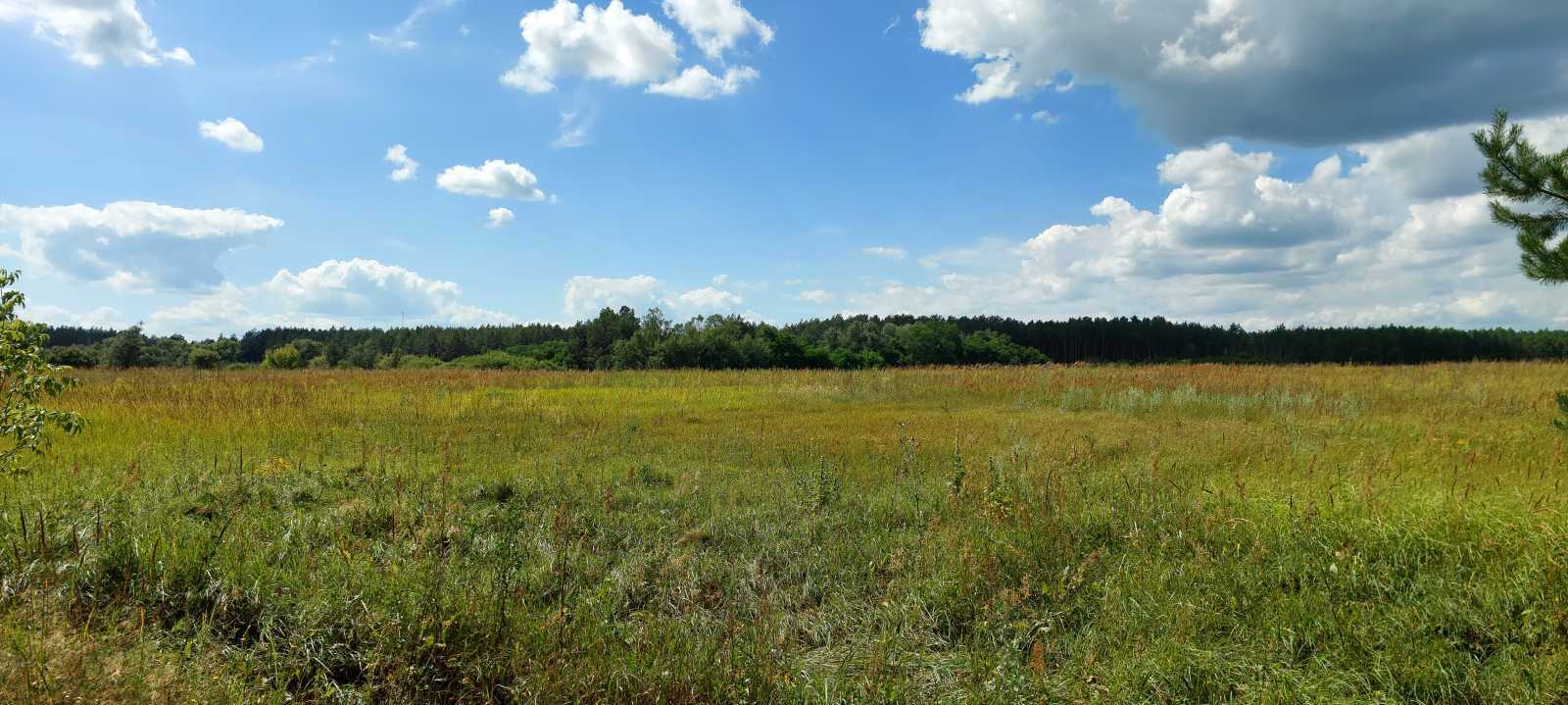 Продаж ділянки для особистого сільського господарства 800 соток, Одинця