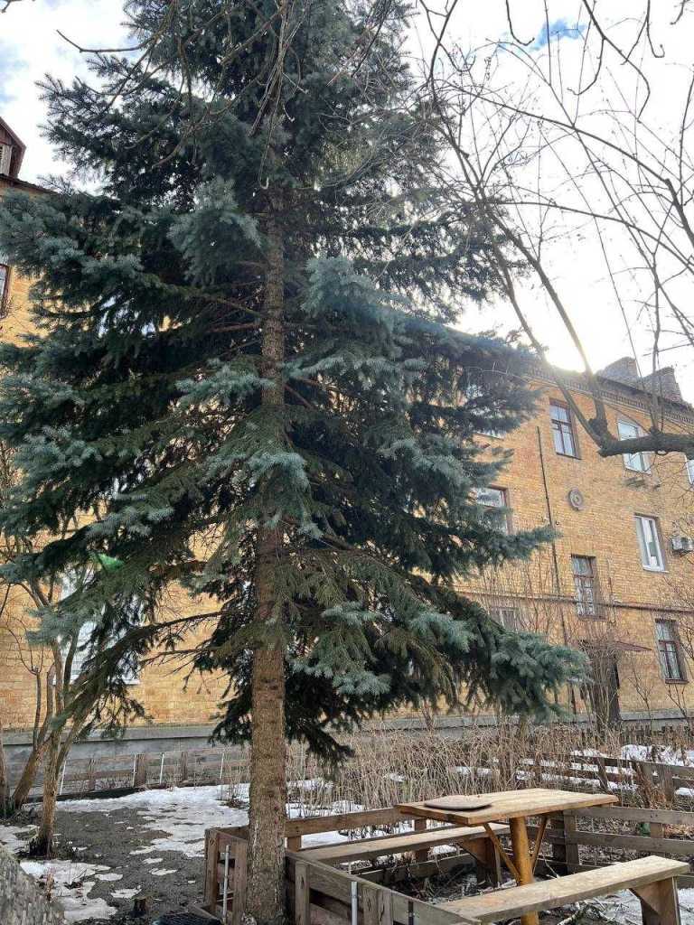 Продаж 2-кімнатної квартири 50 м², Декабристів вул.