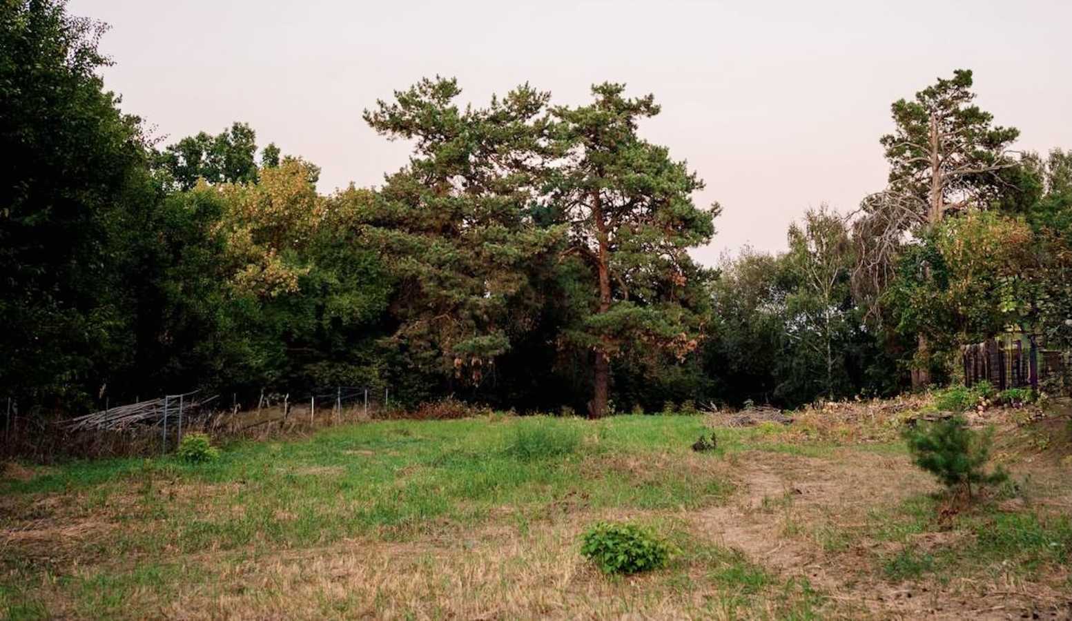 Продаж ділянки під індивідуальне житлове будівництво 20 соток, Малишка 8/1