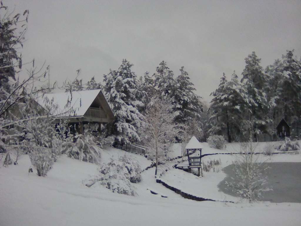 Дом посуточно 55 м², Лесная